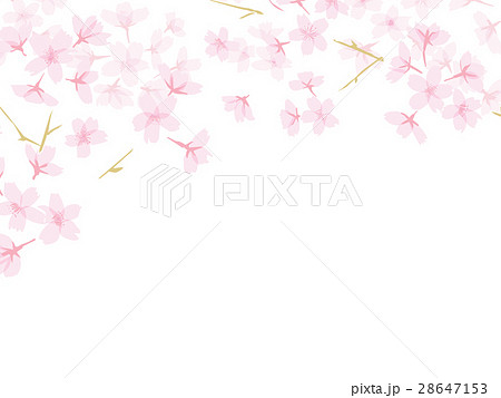 上部に枝にさくらフレーム背景 28647153