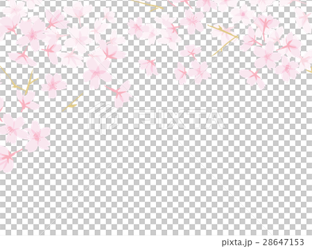 上部に枝にさくらフレーム背景 28647153