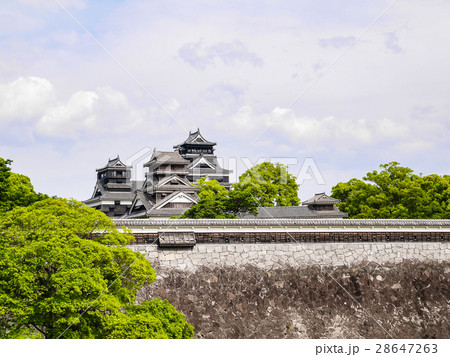 熊本城の大天守・小天守と宇土櫓が連なる壮大な城郭の全景 熊本城の大天守・小天守と宇土櫓が連なる壮大な城郭の全景 28647263