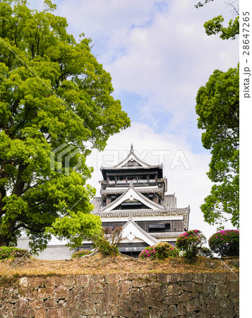 熊本城の天守閣と武者返しの石垣を見上げる風景 熊本城の天守閣と武者返しの石垣を見上げる風景 28647265