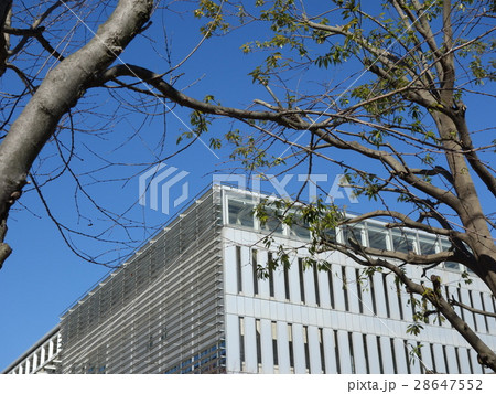 朝の大学02 朝の大学02 28647552