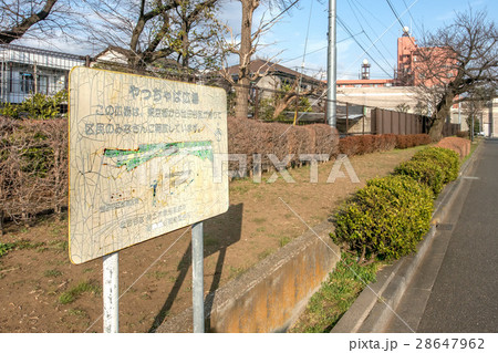 やっちゃば広場 28647962