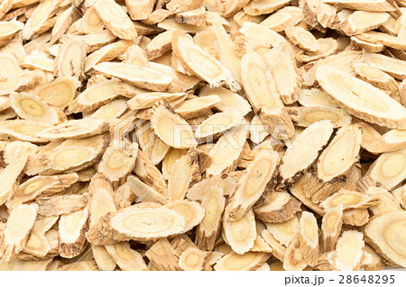 キバナオウギ（黄耆）: Astragalus root 28648295