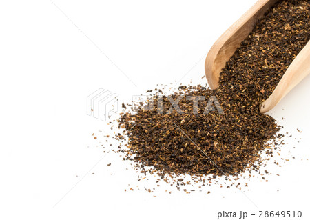 ターキー・ルバーブ・ルート: Turkish rhubarb root ターキー・ルバーブ・ルート: Turkish rhubarb root 28649510