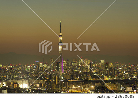東京都市風景　東京スカイツリー　都心の街並　夜景　新宿　六本木　丸の内 28650088