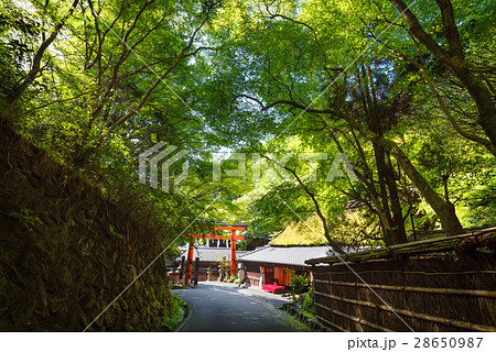 嵯峨野の風景 28650987