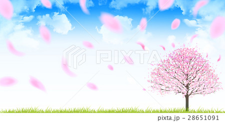 桜　春　花　背景  28651091