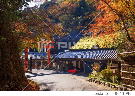 晩秋の嵯峨野 晩秋の嵯峨野 28651996