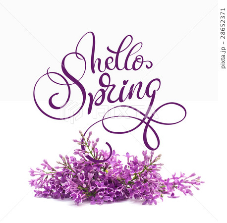 Beautiful lilac branch isolated on white 28652371
