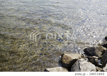 四方の山々からミネラル豊富で綺麗な水が流れ込む九州最大のカルデラ湖池田湖,天然大うなぎ生息の湖底火山 28653869