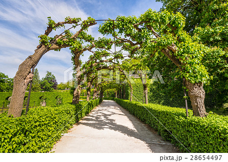 Landscape with Alley Park in Wurzburg Residence 28654497