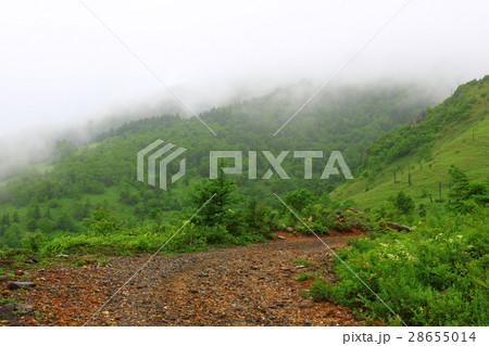 【群馬県】小串鉱山跡 28655014