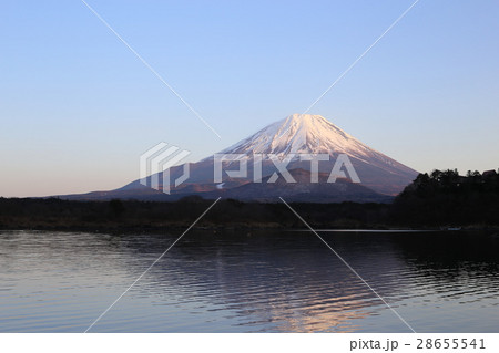精進湖の富士 精進湖の富士 28655541