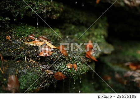 赤目四十八滝 28656188