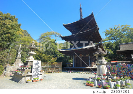 快晴の石手寺　三重塔 28657201