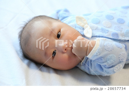 げんこつをしゃぶる赤ちゃん げんこつをしゃぶる赤ちゃん 28657734