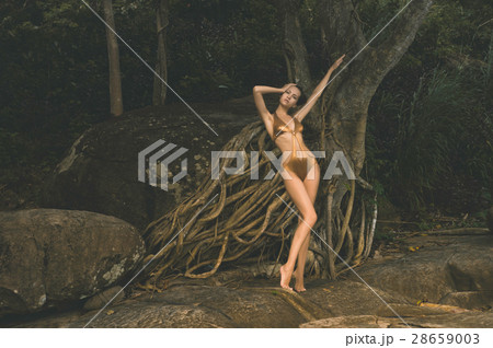 Graceful lady in a mighty tree 28659003