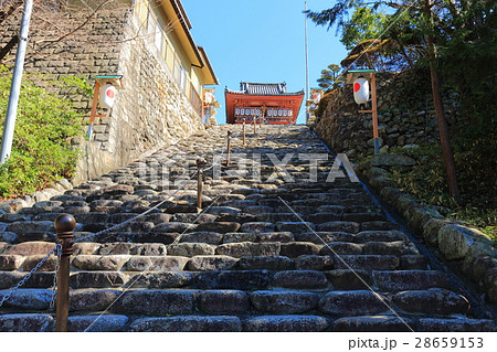 伊佐爾波神社（道後温泉） 28659153