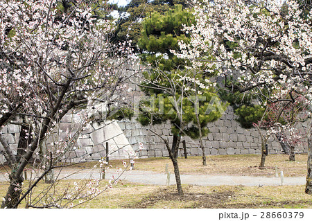 二条城 二条城 28660379