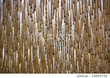 Background of dried bamboo hanging vertically Background of dried bamboo hanging vertically 28660799