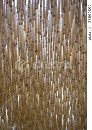 Background of dried bamboo hanging vertically Background of dried bamboo hanging vertically 28660800