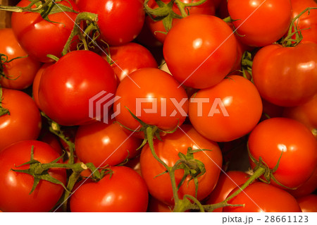 Red tomatoes Red tomatoes 28661123