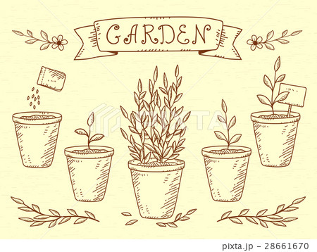 set of plant in pots 28661670