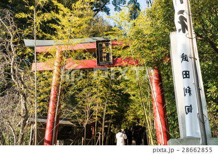 熱海 來宮神社(きのみやじんじゃ) 熱海 來宮神社(きのみやじんじゃ) 28662855
