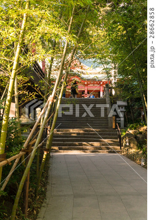 熱海 來宮神社(きのみやじんじゃ) 熱海 來宮神社(きのみやじんじゃ) 28662858