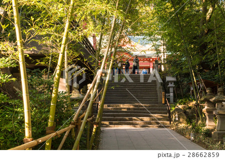 熱海 來宮神社(きのみやじんじゃ) 熱海 來宮神社(きのみやじんじゃ) 28662859