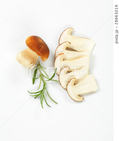 whole and sliced cep (Boletus edulis) 28663019