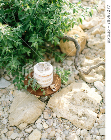cake against the background of the nature and 28663277