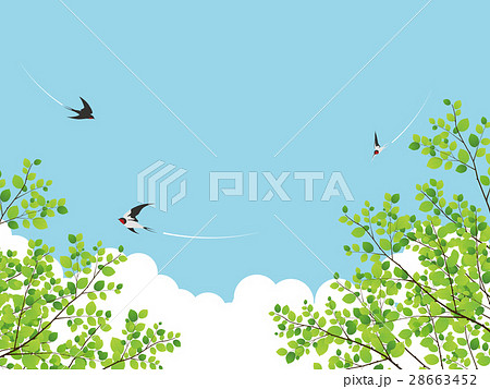 新緑 若葉 のイラスト素材