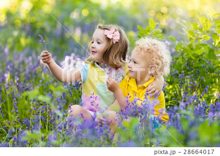 Kids play in blooming garden with bluebell flowers 28664017