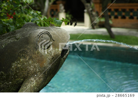 プールサイド 28665169