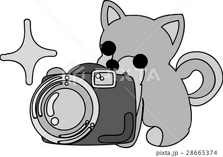 可愛い犬とカメラのイラスト素材