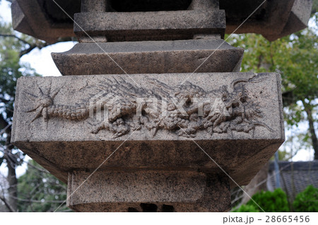 石燈籠の龍 28665456