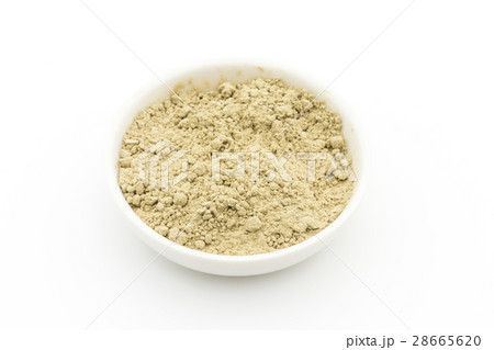 アトランティック・ケルプ: Atlantic kelp 28665620