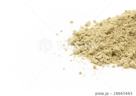 アトランティック・ケルプ: Atlantic kelp 28665665