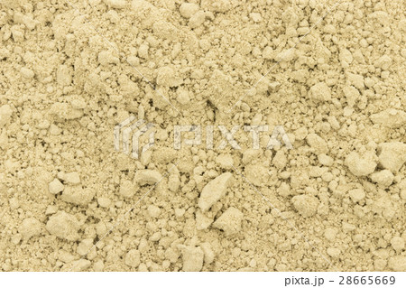 アトランティック・ケルプ: Atlantic kelp 28665669