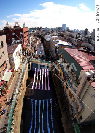 染の小道 染の小道 28665673