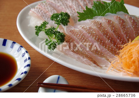 鯛のお刺身 28665736