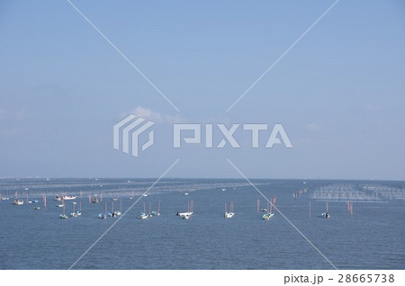 有明海の海苔養殖風景 28665738