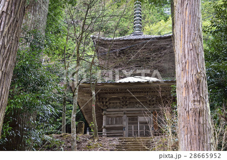 城崎温泉　温泉寺　多宝塔 28665952