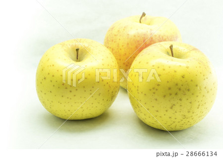りんご 金星 りんご 金星 28666134