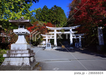 秩父三社・三峯神社 社号碑 & 三ツ鳥居 (埼玉県 秩父市) 秩父三社・三峯神社 社号碑 & 三ツ鳥居 (埼玉県 秩父市) 28666604