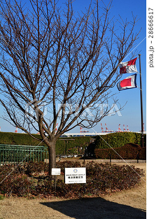 横浜・港の見える丘公園 28666617