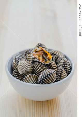steamed blanched clams in white bowl background steamed blanched clams in white bowl background 28667952