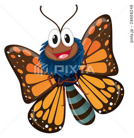 Butterfly with brown wings 28668246