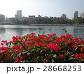台湾　高雄の愛河 28668253
